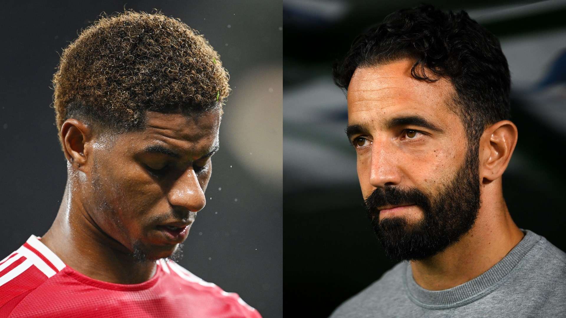 球迷的关注 球迷的关注